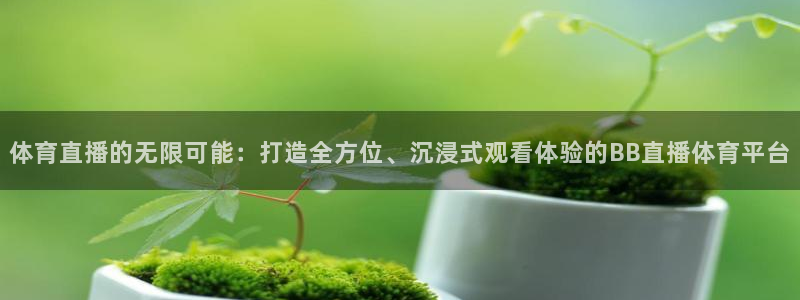 体育直播的无限可能：打造全方位、沉浸式观看体验的BB直播体育平台