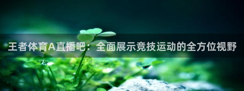 王者体育A直播吧：全面展示竞技运动的全方位视野