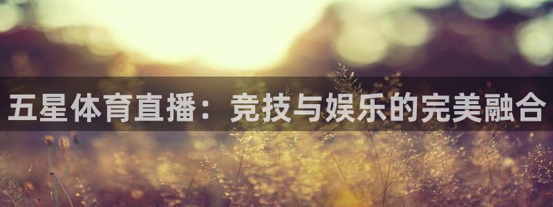 五星体育直播：竞技与娱乐的完美融合