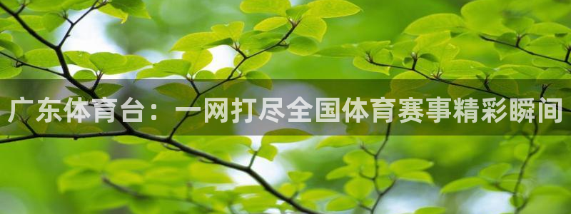 广东体育台：一网打尽全国体育赛事精彩瞬间